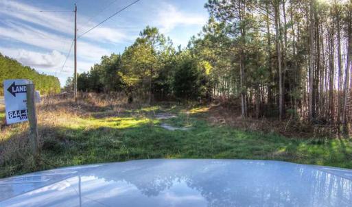 Photo of SOLD!  761 Acres of Hunting Land For Sale in Accomack County VA!
