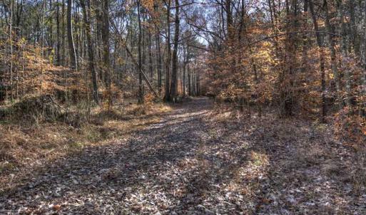 Photo of SOLD!  761 Acres of Hunting Land For Sale in Accomack County VA!