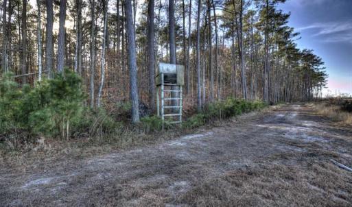 Photo of SOLD!  761 Acres of Hunting Land For Sale in Accomack County VA!