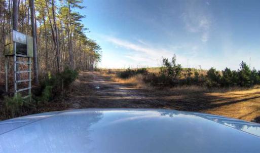 Photo of SOLD!  761 Acres of Hunting Land For Sale in Accomack County VA!