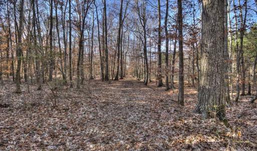 Photo of SOLD!  761 Acres of Hunting Land For Sale in Accomack County VA!