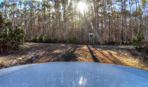 Photo of SOLD!  761 Acres of Hunting Land For Sale in Accomack County VA!