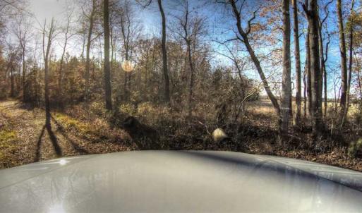 Photo of SOLD!  761 Acres of Hunting Land For Sale in Accomack County VA!