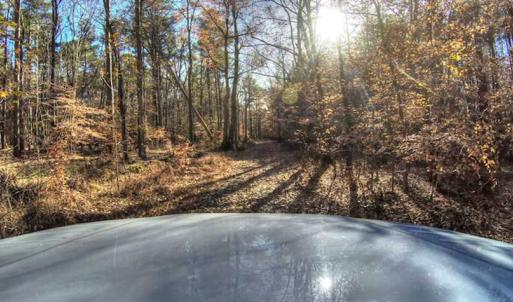 Photo of SOLD!  761 Acres of Hunting Land For Sale in Accomack County VA!