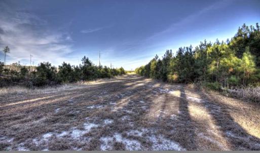 Photo of SOLD!  761 Acres of Hunting Land For Sale in Accomack County VA!