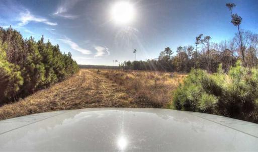 Photo of SOLD!  761 Acres of Hunting Land For Sale in Accomack County VA!