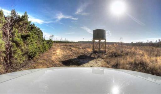 Photo of SOLD!  761 Acres of Hunting Land For Sale in Accomack County VA!