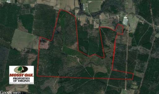 Photo of SOLD!  761 Acres of Hunting Land For Sale in Accomack County VA!
