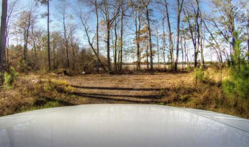 Photo of SOLD!  761 Acres of Hunting Land For Sale in Accomack County VA!