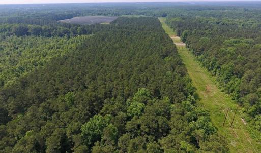 Photo of UNDER CONTRACT!  30 Acres of Timber and Hunting Land For Sale in Nash County NC!
