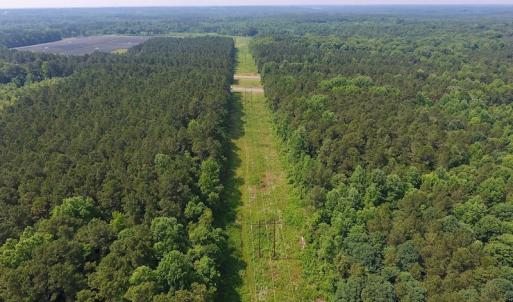 Photo of UNDER CONTRACT!  30 Acres of Timber and Hunting Land For Sale in Nash County NC!