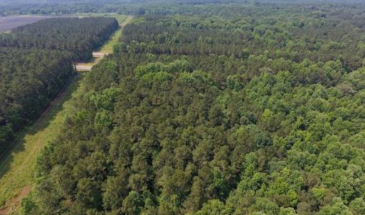 Photo of UNDER CONTRACT!  30 Acres of Timber and Hunting Land For Sale in Nash County NC!
