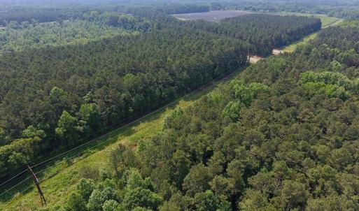 Photo of UNDER CONTRACT!  30 Acres of Timber and Hunting Land For Sale in Nash County NC!