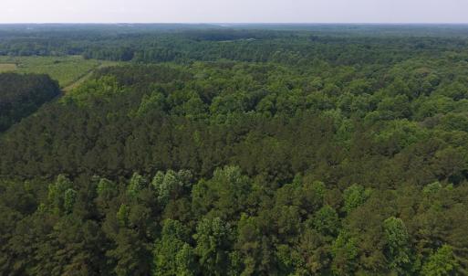 Photo of UNDER CONTRACT!  30 Acres of Timber and Hunting Land For Sale in Nash County NC!