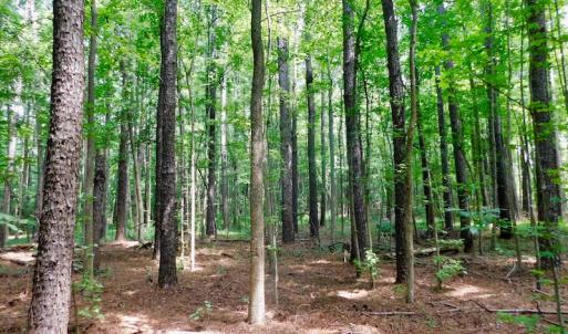 Photo of UNDER CONTRACT!  30 Acres of Timber and Hunting Land For Sale in Nash County NC!