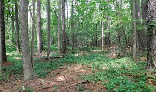 Photo of UNDER CONTRACT!  30 Acres of Timber and Hunting Land For Sale in Nash County NC!