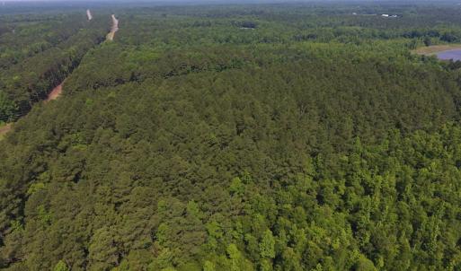 Photo of UNDER CONTRACT!  30 Acres of Timber and Hunting Land For Sale in Nash County NC!