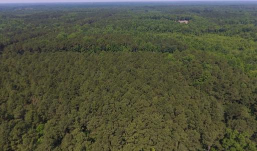 Photo of UNDER CONTRACT!  30 Acres of Timber and Hunting Land For Sale in Nash County NC!