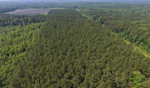 Photo of UNDER CONTRACT!  30 Acres of Timber and Hunting Land For Sale in Nash County NC!