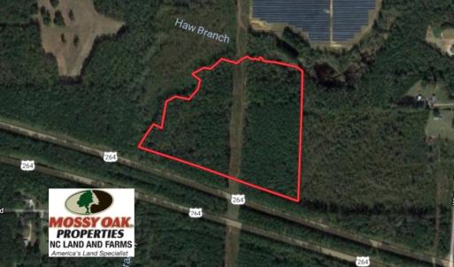 Photo of UNDER CONTRACT!  30 Acres of Timber and Hunting Land For Sale in Nash County NC!