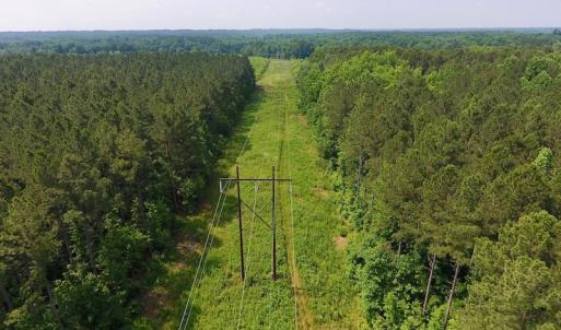 Photo of UNDER CONTRACT!  40 Acres of Timber and Hunting Land For Sale in Nash County NC!