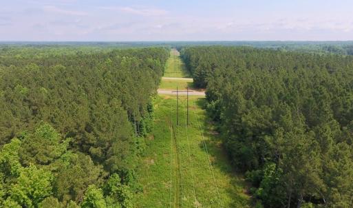 Photo of UNDER CONTRACT!  40 Acres of Timber and Hunting Land For Sale in Nash County NC!