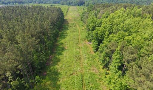 Photo of UNDER CONTRACT!  40 Acres of Timber and Hunting Land For Sale in Nash County NC!