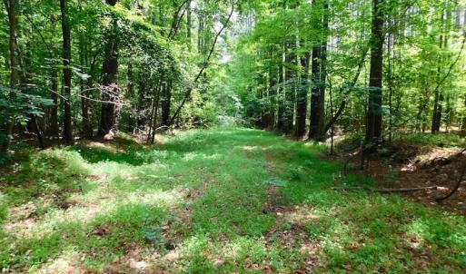 Photo of UNDER CONTRACT!  40 Acres of Timber and Hunting Land For Sale in Nash County NC!