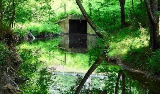 Photo of UNDER CONTRACT!  40 Acres of Timber and Hunting Land For Sale in Nash County NC!