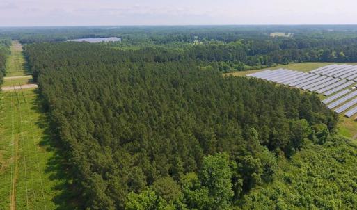 Photo of UNDER CONTRACT!  40 Acres of Timber and Hunting Land For Sale in Nash County NC!