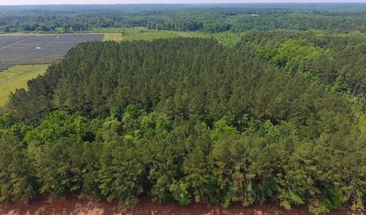 Photo of UNDER CONTRACT!  40 Acres of Timber and Hunting Land For Sale in Nash County NC!