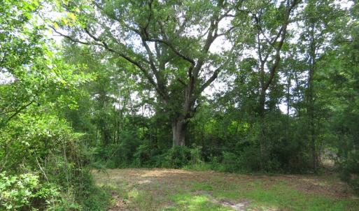 Photo of UNDER CONTRACT!  8 Acres of Residential and Hunting Land For Sale in Brunswick County NC!