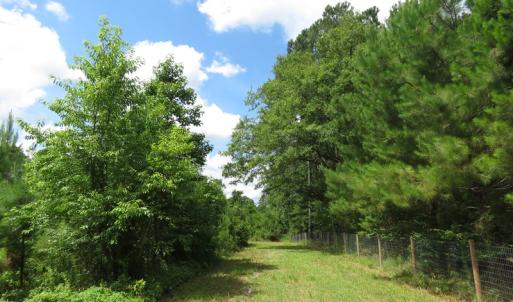 Photo of UNDER CONTRACT!  8 Acres of Residential and Hunting Land For Sale in Brunswick County NC!