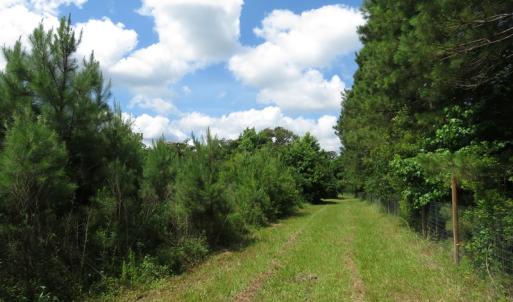 Photo of UNDER CONTRACT!  8 Acres of Residential and Hunting Land For Sale in Brunswick County NC!