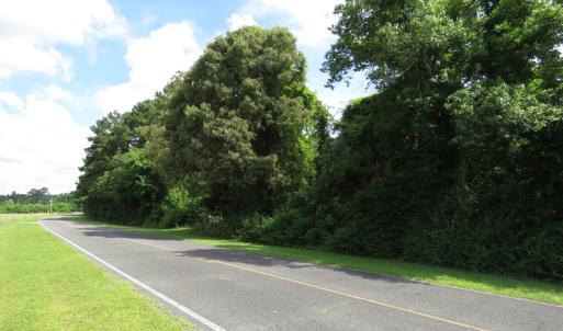 Photo of UNDER CONTRACT!  8 Acres of Residential and Hunting Land For Sale in Brunswick County NC!