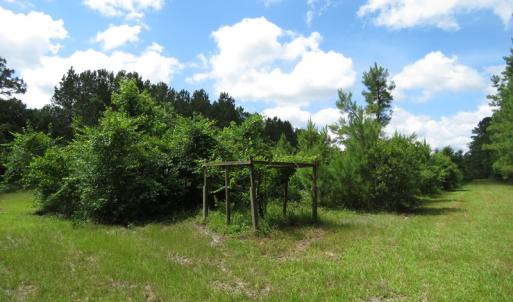 Photo of UNDER CONTRACT!  8 Acres of Residential and Hunting Land For Sale in Brunswick County NC!