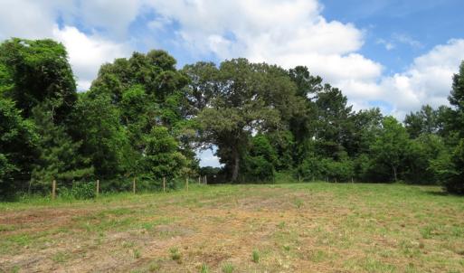 Photo of UNDER CONTRACT!  8 Acres of Residential and Hunting Land For Sale in Brunswick County NC!