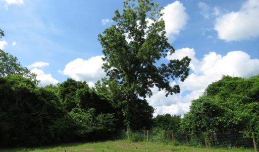 Photo of UNDER CONTRACT!  8 Acres of Residential and Hunting Land For Sale in Brunswick County NC!