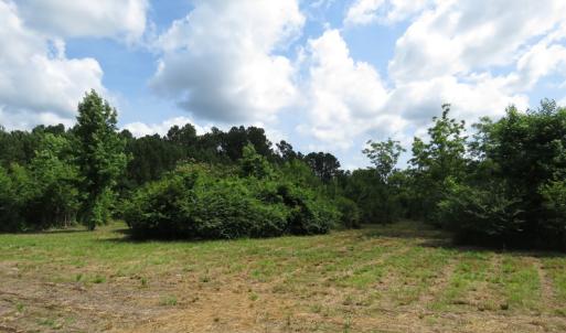 Photo of UNDER CONTRACT!  8 Acres of Residential and Hunting Land For Sale in Brunswick County NC!