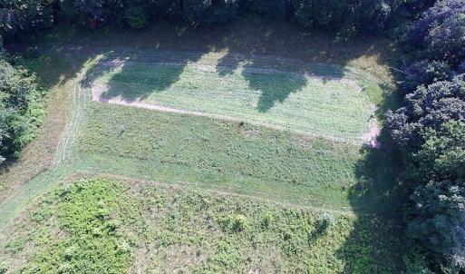Photo of UNDER CONTRACT!  17 Acres of  Recreational Hunting of Land For Sale in Charlotte County VA!