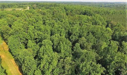 Photo of UNDER CONTRACT!  17 Acres of  Recreational Hunting of Land For Sale in Charlotte County VA!