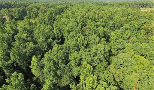 Photo of UNDER CONTRACT!  17 Acres of  Recreational Hunting of Land For Sale in Charlotte County VA!