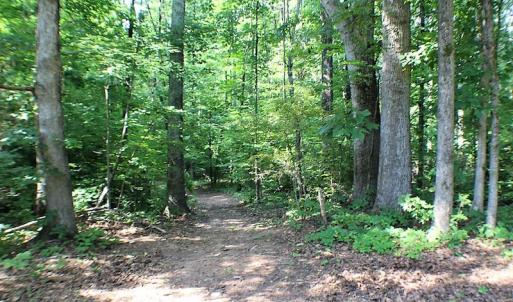 Photo of UNDER CONTRACT!  17 Acres of  Recreational Hunting of Land For Sale in Charlotte County VA!