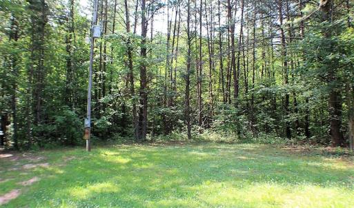 Photo of UNDER CONTRACT!  17 Acres of  Recreational Hunting of Land For Sale in Charlotte County VA!