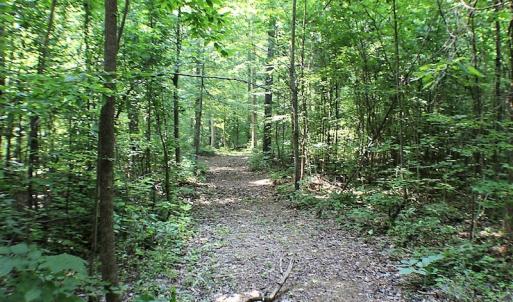 Photo of UNDER CONTRACT!  17 Acres of  Recreational Hunting of Land For Sale in Charlotte County VA!