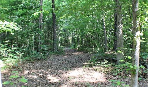 Photo of UNDER CONTRACT!  17 Acres of  Recreational Hunting of Land For Sale in Charlotte County VA!