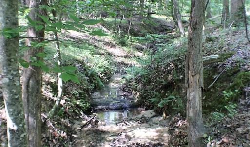 Photo of UNDER CONTRACT!  17 Acres of  Recreational Hunting of Land For Sale in Charlotte County VA!
