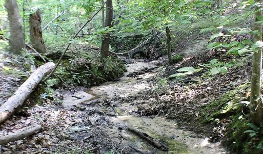 Photo of UNDER CONTRACT!  17 Acres of  Recreational Hunting of Land For Sale in Charlotte County VA!