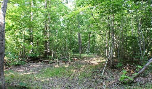Photo of UNDER CONTRACT!  17 Acres of  Recreational Hunting of Land For Sale in Charlotte County VA!
