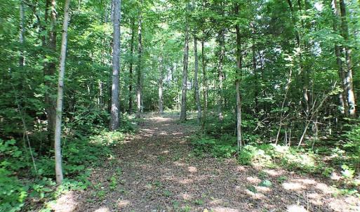 Photo of UNDER CONTRACT!  17 Acres of  Recreational Hunting of Land For Sale in Charlotte County VA!